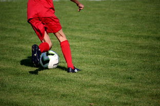 篮球运动员心理韧性培养及心理干预体系，篮球运动员的心理训练